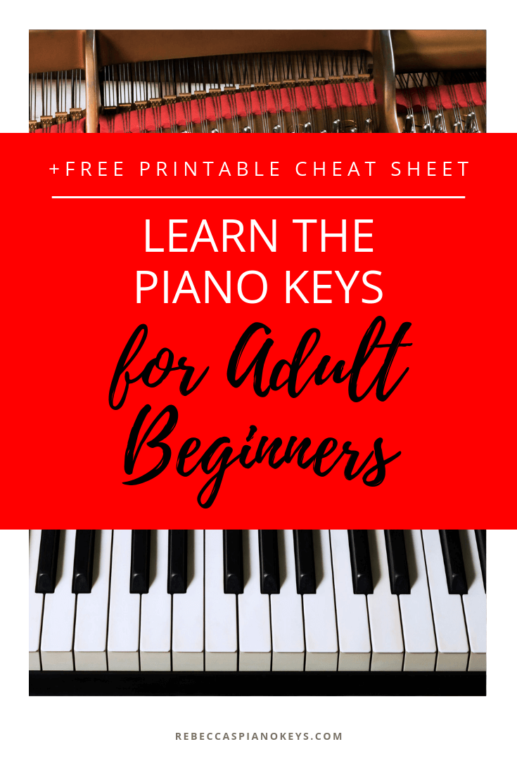 Learn the Piano Keys! (for Adult Beginners) | Rebecca's Piano Keys