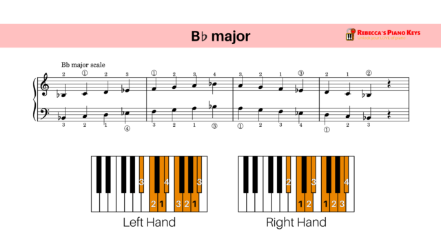 The 12 Major Scales For Piano And Keyboard | Rebecca's Piano Keys